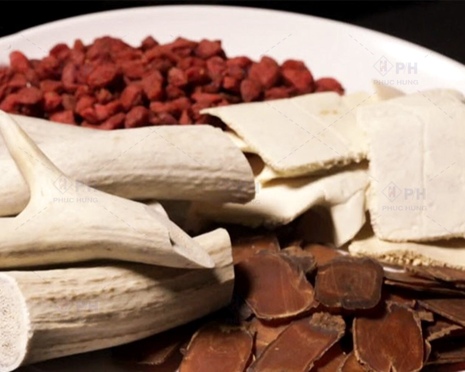 Bổ tinh - Dưỡng tủy - Điều âm dương: Sự tiếp nối cổ phương Quy Lộc Nhị Tiên Cao trong Sâm Nhung Bổ Thận P/H